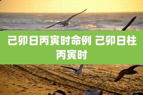 己卯日丙寅时命例 己卯日柱丙寅时