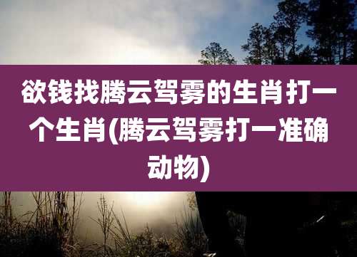 欲钱找腾云驾雾的生肖打一个生肖(腾云驾雾打一准确动物)