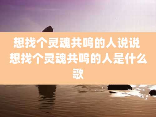 想找个灵魂共鸣的人说说 想找个灵魂共鸣的人是什么歌