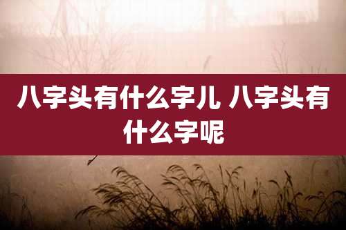 八字头有什么字儿 八字头有什么字呢