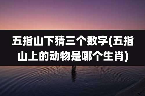 五指山下猜三个数字(五指山上的动物是哪个生肖)