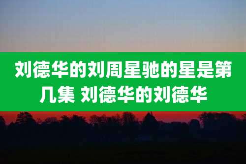 刘德华的刘周星驰的星是第几集 刘德华的刘德华