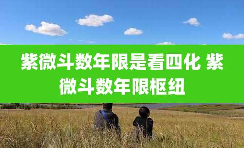 紫微斗数年限是看四化 紫微斗数年限枢纽