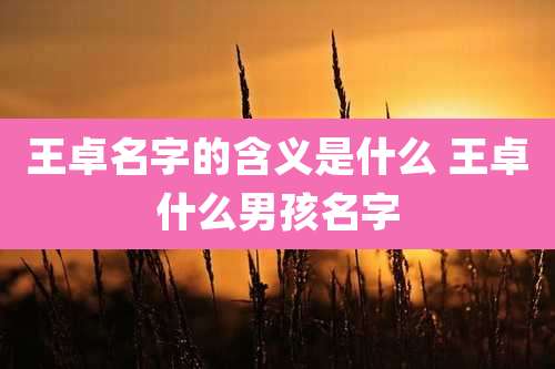 王卓名字的含义是什么 王卓什么男孩名字