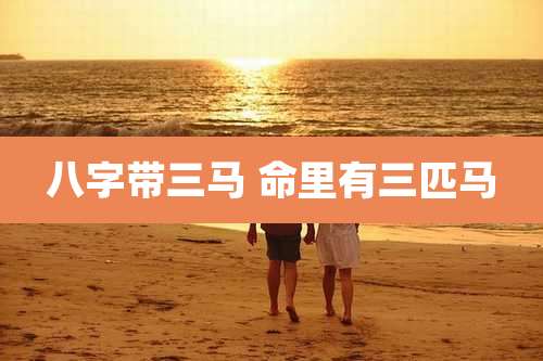 八字带三马 命里有三匹马