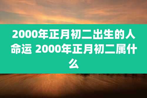 2000年正月初二出生的人命运 2000年正月初二属什么