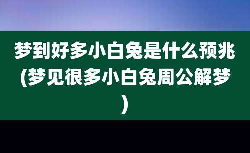 梦到好多小白兔是什么预兆(梦见很多小白兔周公解梦)