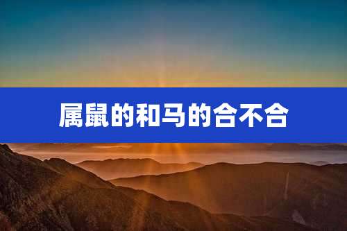属鼠的和马的合不合