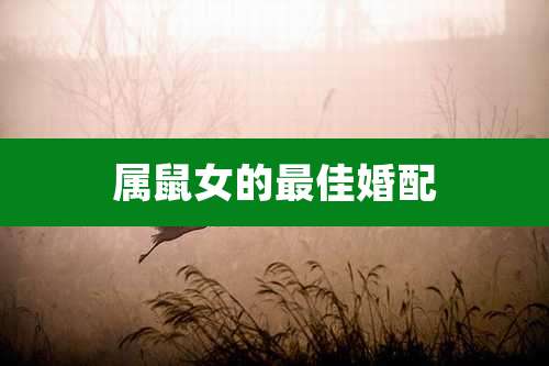 属鼠女的最佳婚配