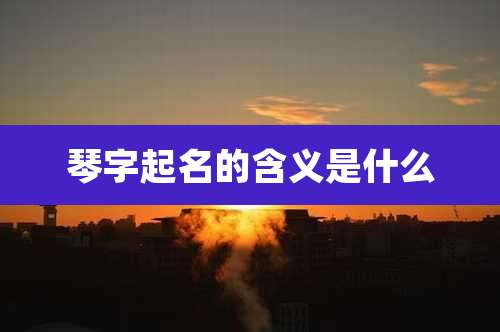 琴字起名的含义是什么