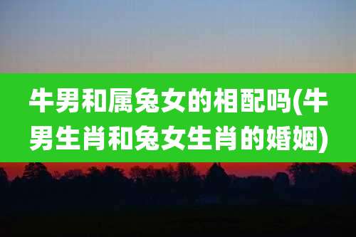 牛男和属兔女的相配吗(牛男生肖和兔女生肖的婚姻)