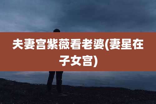 夫妻宫紫薇看老婆(妻星在子女宫)