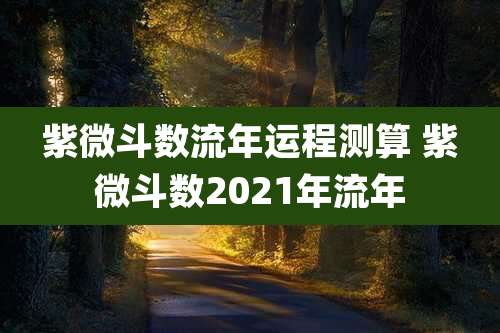 紫微斗数流年运程测算 紫微斗数2021年流年