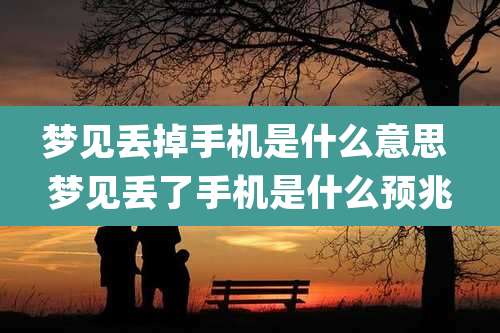 梦见丢掉手机是什么意思 梦见丢了手机是什么预兆