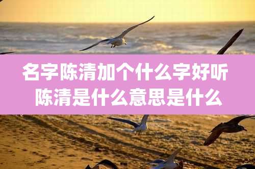 名字陈清加个什么字好听 陈清是什么意思是什么