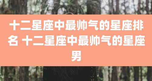 十二星座中最帅气的星座排名 十二星座中最帅气的星座男