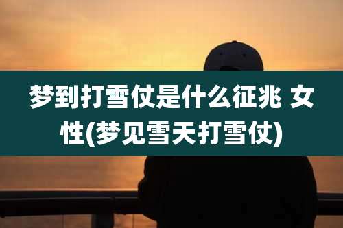 梦到打雪仗是什么征兆 女性(梦见雪天打雪仗)