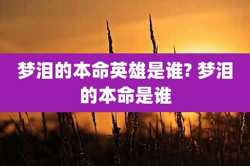 梦泪的本命英雄是谁? 梦泪的本命是谁