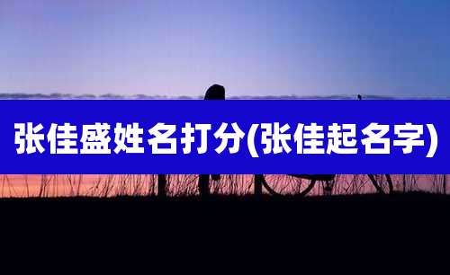 张佳盛姓名打分(张佳起名字)