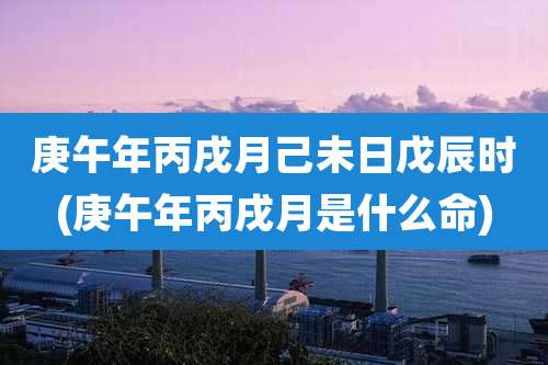 庚午年丙戌月己未日戊辰时(庚午年丙戌月是什么命)