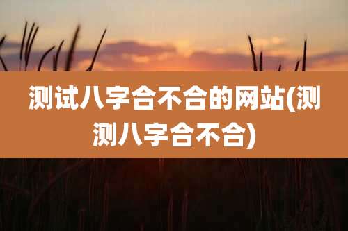 测试八字合不合的网站(测测八字合不合)