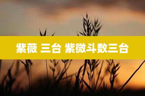 紫薇 三台 紫微斗数三台