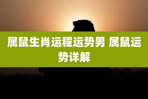 属鼠生肖运程运势男 属鼠运势详解