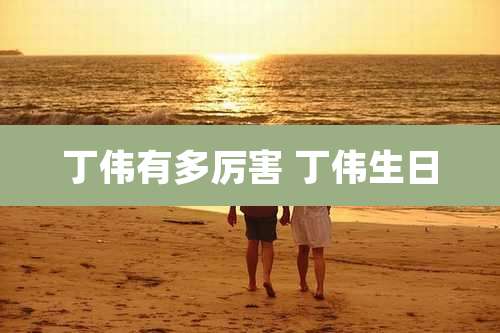 丁伟有多厉害 丁伟生日