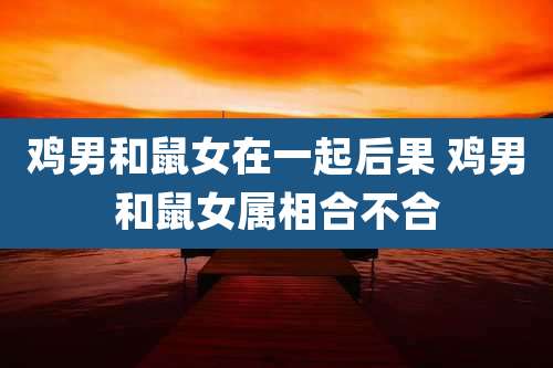 鸡男和鼠女在一起后果 鸡男和鼠女属相合不合