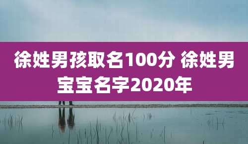 徐姓男孩取名100分 徐姓男宝宝名字2020年