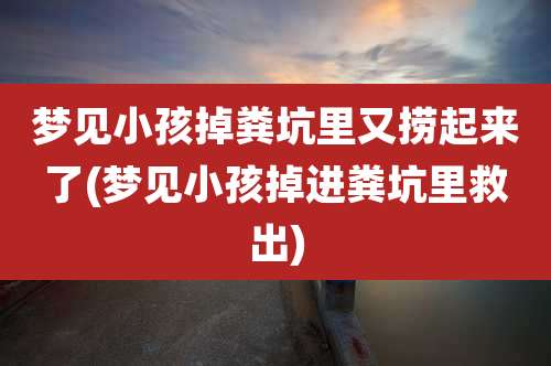 梦见小孩掉粪坑里又捞起来了(梦见小孩掉进粪坑里救出)