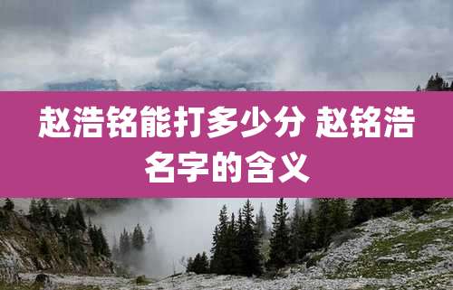 赵浩铭能打多少分 赵铭浩名字的含义