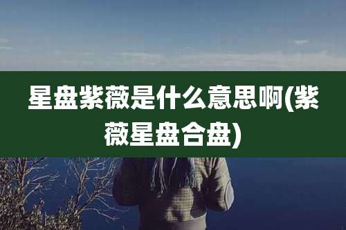 星盘紫薇是什么意思啊(紫薇星盘合盘)