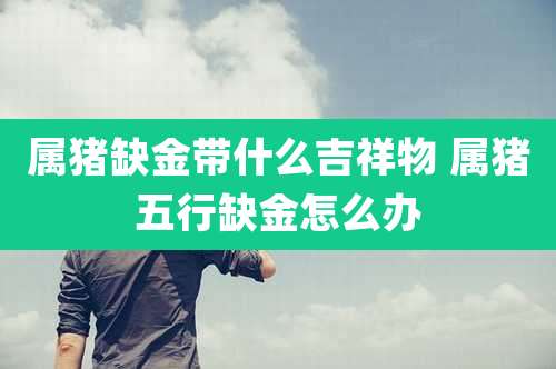 属猪缺金带什么吉祥物 属猪五行缺金怎么办