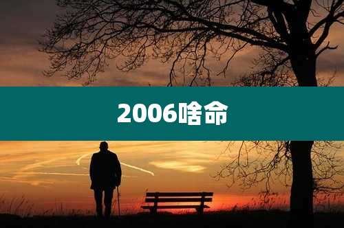 2006啥命