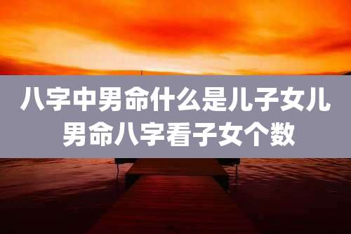 八字中男命什么是儿子女儿 男命八字看子女个数