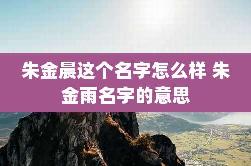 朱金晨这个名字怎么样 朱金雨名字的意思