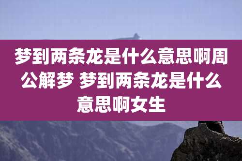 梦到两条龙是什么意思啊周公解梦 梦到两条龙是什么意思啊女生