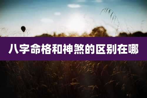 八字命格和神煞的区别在哪
