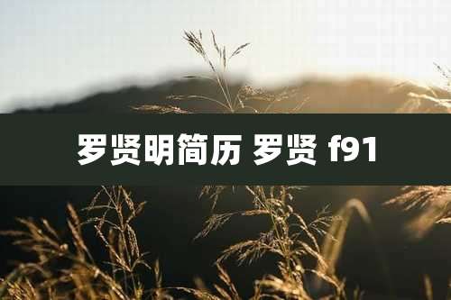 罗贤明简历 罗贤 f91