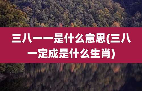 三八一一是什么意思(三八一定成是什么生肖)