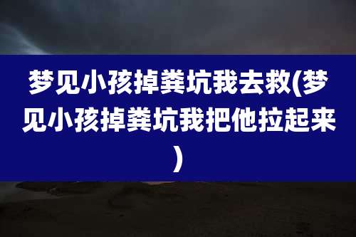 梦见小孩掉粪坑我去救(梦见小孩掉粪坑我把他拉起来)