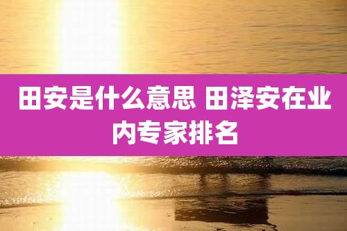 田安是什么意思 田泽安在业内专家排名