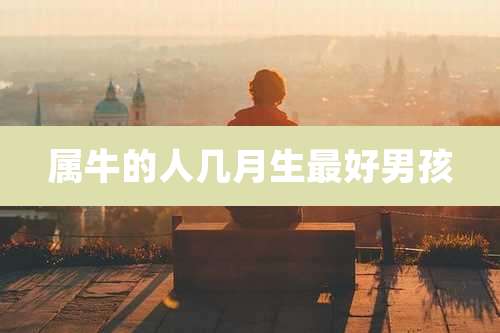 属牛的人几月生最好男孩