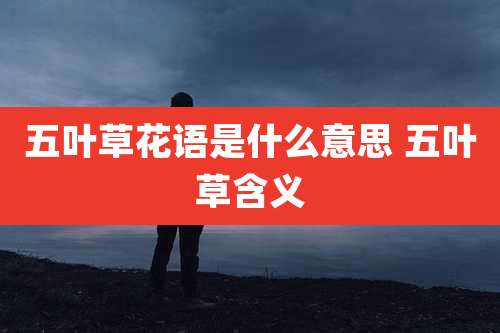 五叶草花语是什么意思 五叶草含义