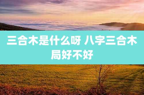 三合木是什么呀 八字三合木局好不好