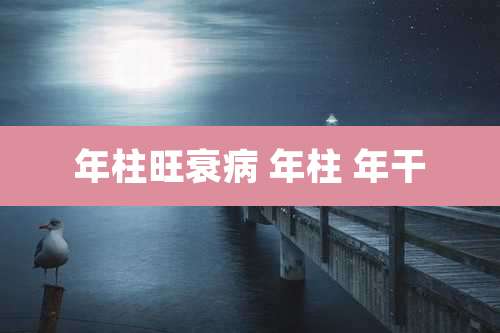 年柱旺衰病 年柱 年干