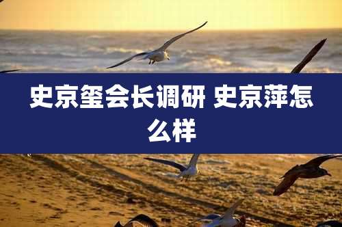 史京玺会长调研 史京萍怎么样
