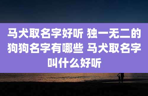马犬取名字好听 独一无二的狗狗名字有哪些 马犬取名字叫什么好听