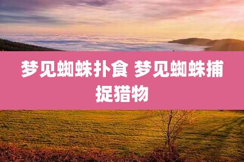 梦见蜘蛛扑食 梦见蜘蛛捕捉猎物